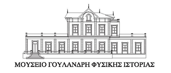 museum-goulandri-packaging_client